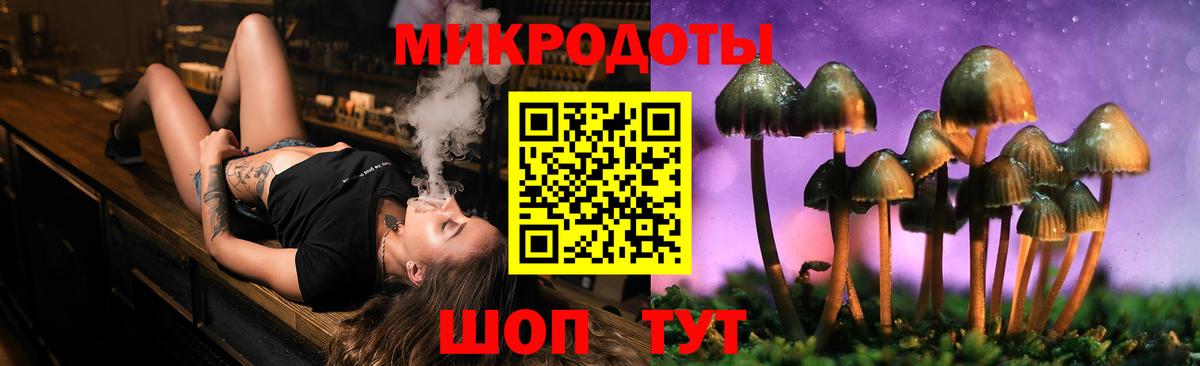 Псилоцибиновые грибы Psilocybe  Галлюциногенные грибы прущие грибы  Вход с VPN  Кулебаки 